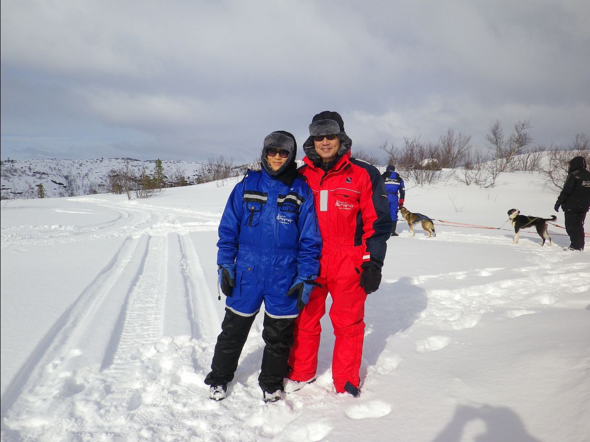 Dogs sledge36